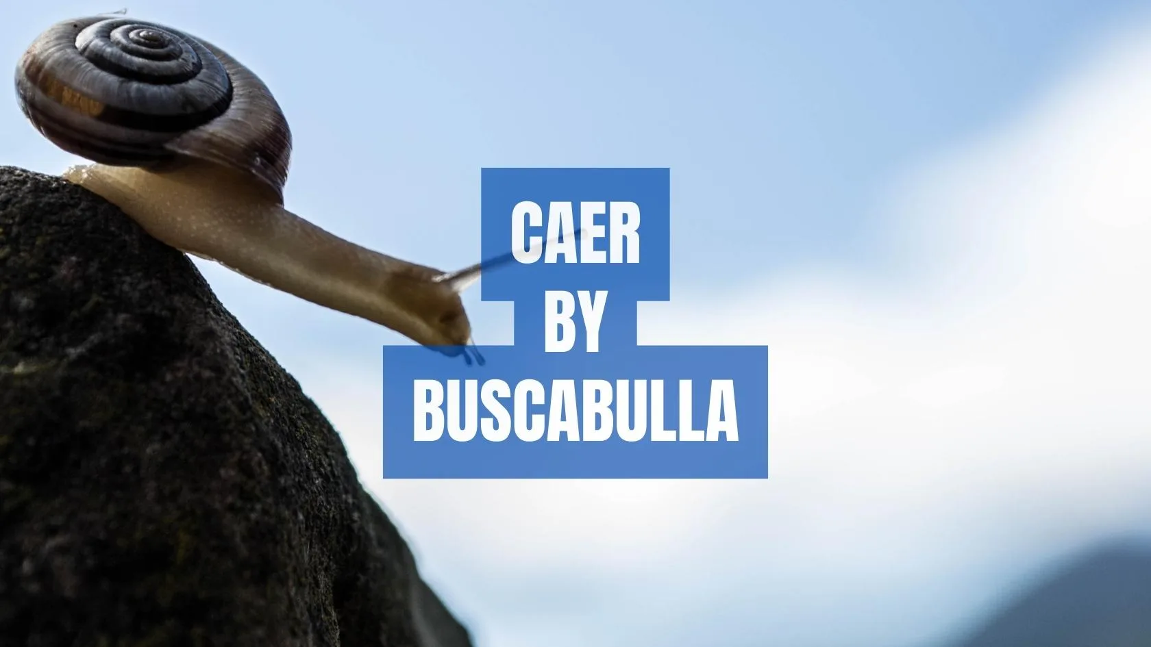 Caer by Buscabulla