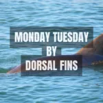 Monday Tuesday by Dorsal Fins