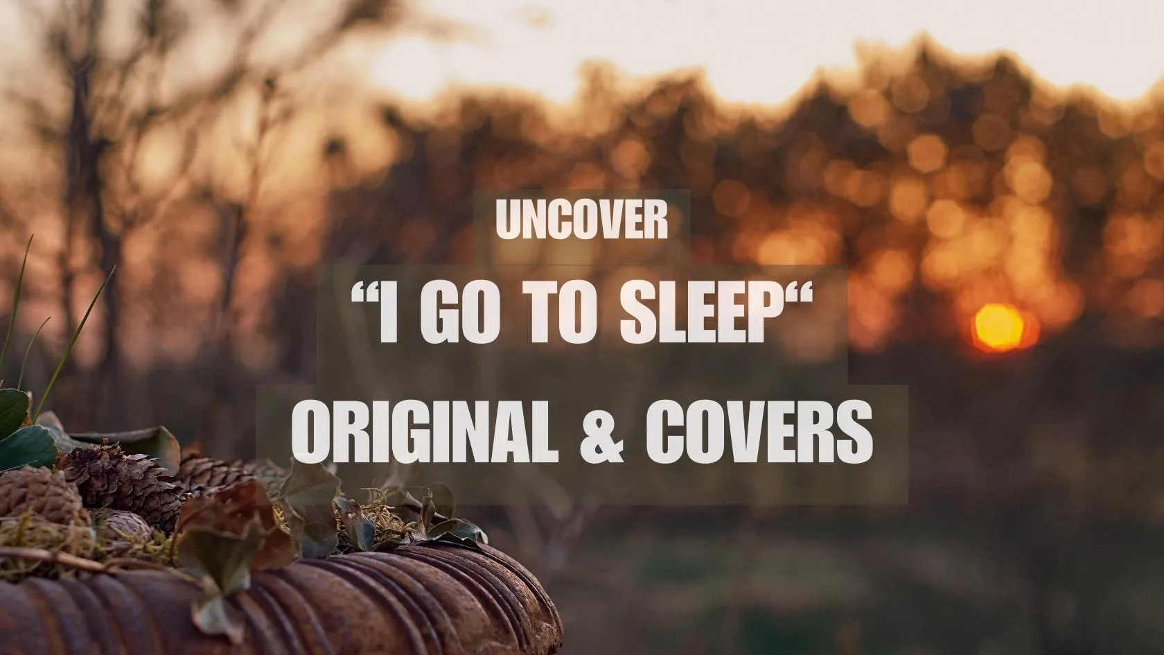 „I Go to Sleep“ Song Pretenders, Peggy Lee