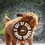Ryan Adams - Shake It Off - Song