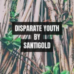 Disparate Youth by Santigold