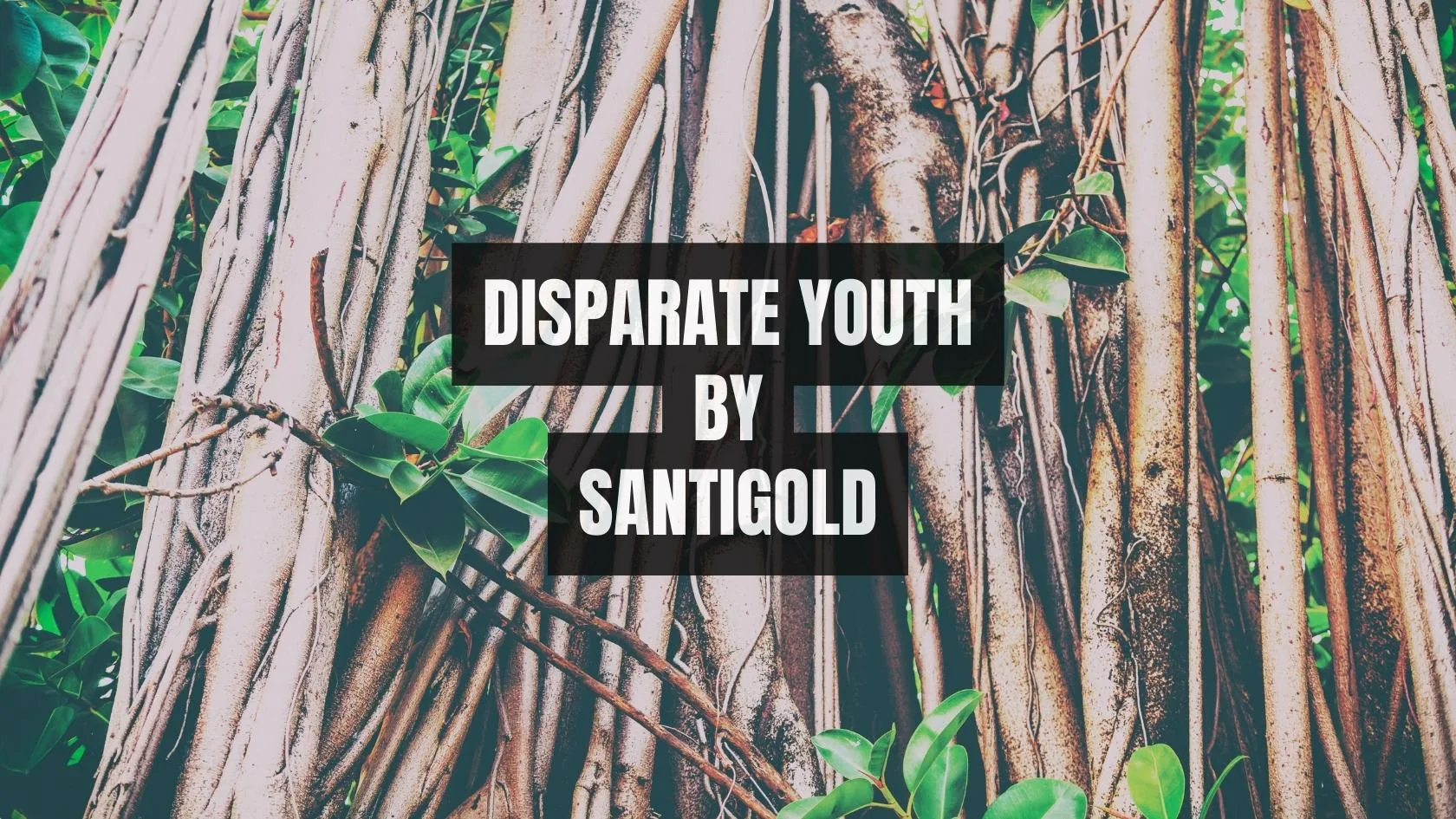 Disparate Youth by Santigold