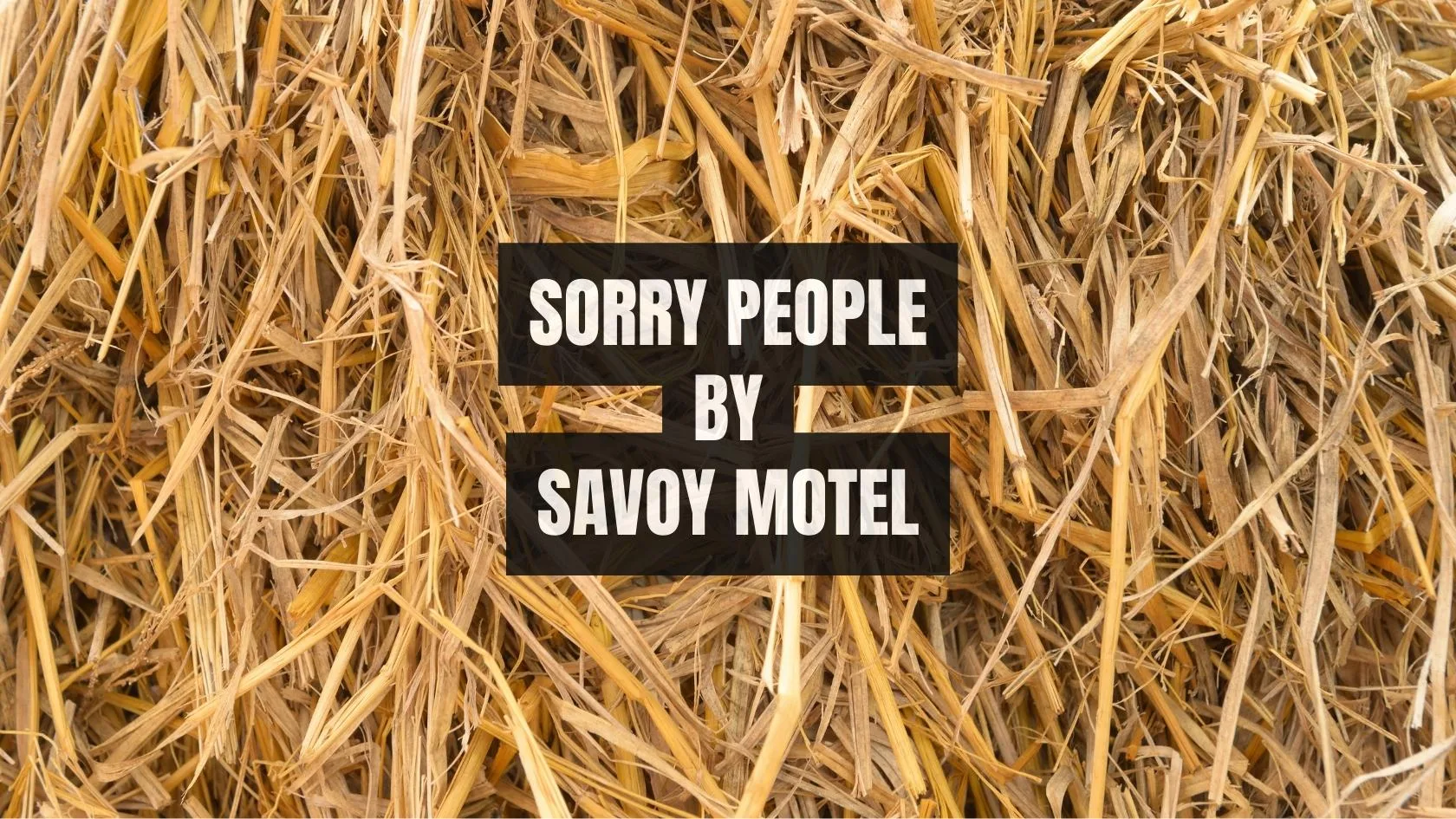 Sorry People by Savoy Motel