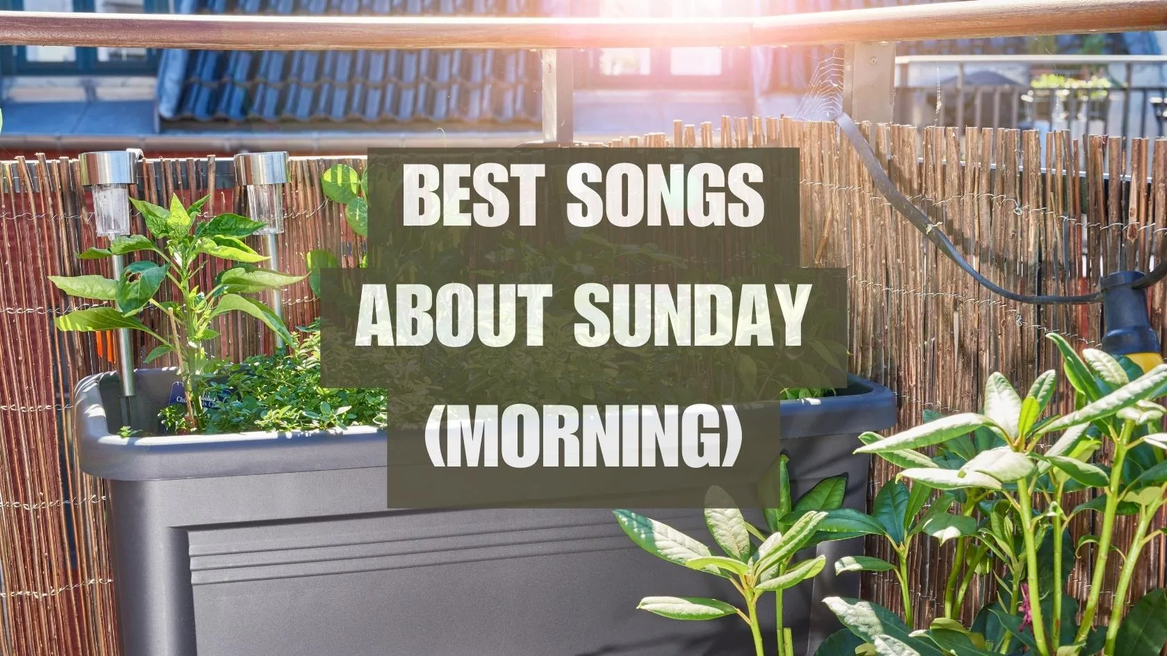 Songs about Sunday (Morning)