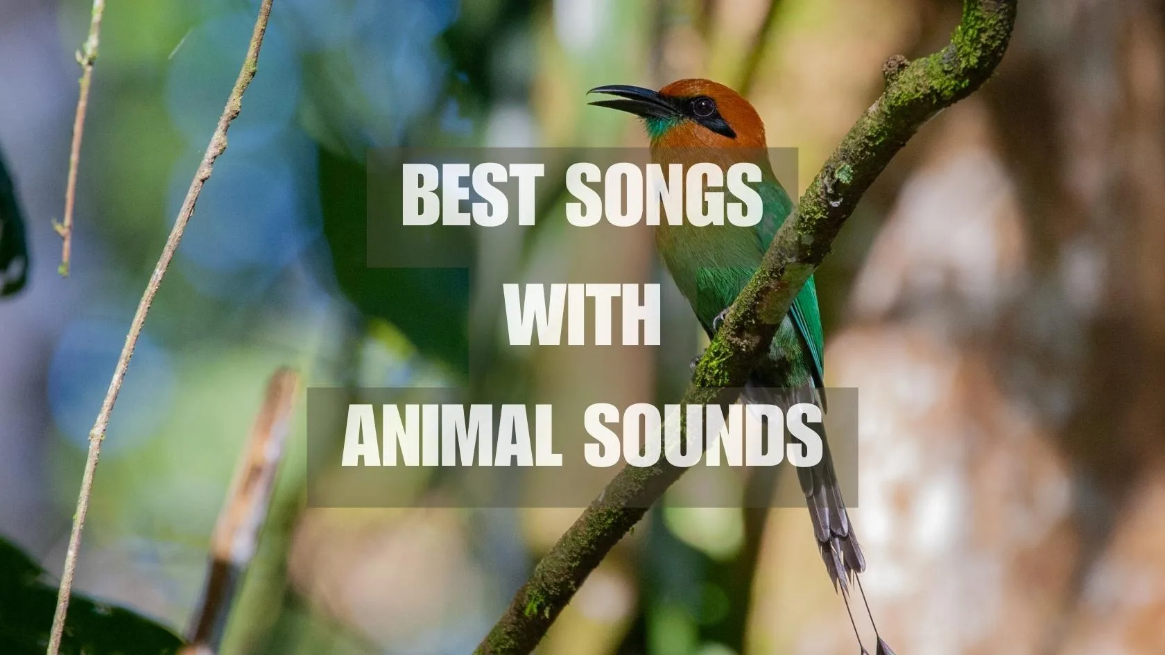 Songs with Animal Sounds