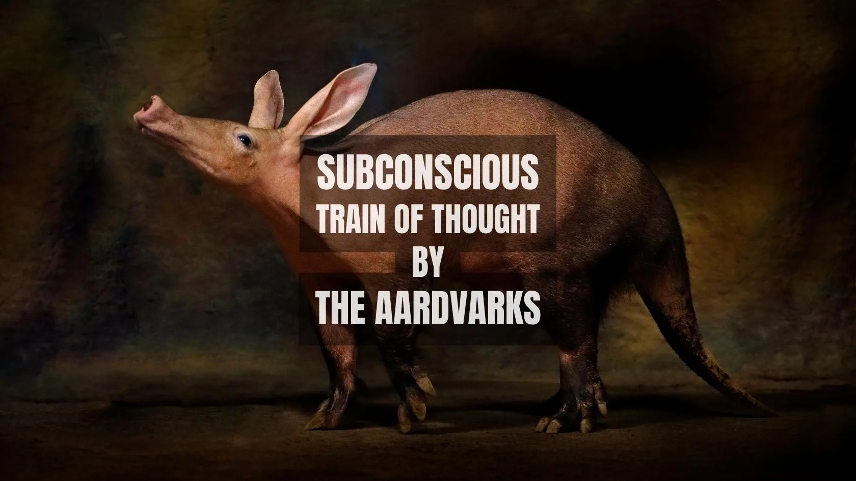 Subconscious Train of Thought by The Aardvarks